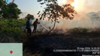 Karhutla Sipongi
