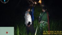 Pematang panjang kebakaran